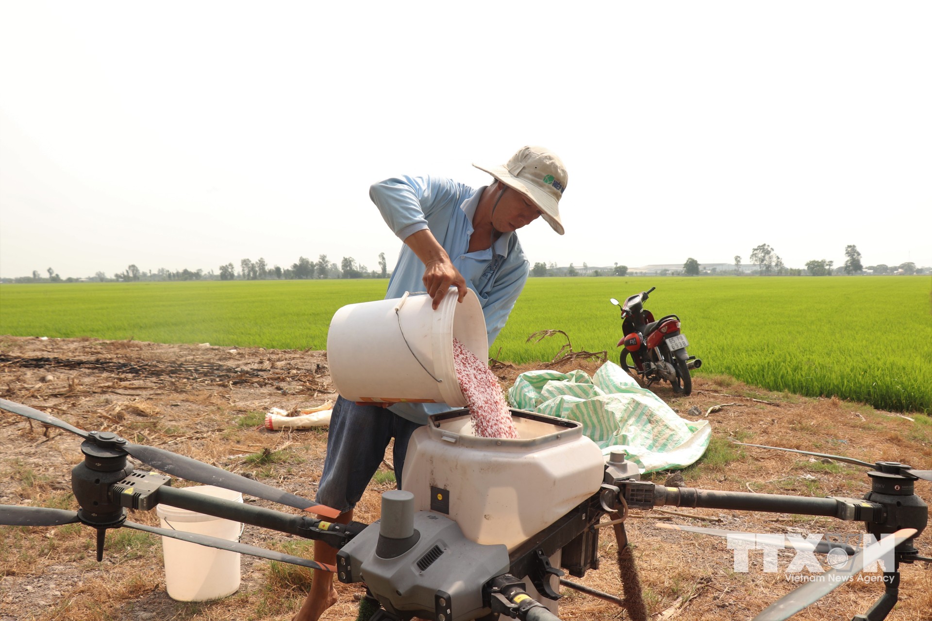 Người dân sử dụng máy bón phân từ trên cao để lúa sinh trưởng tốt nhất với chi phí tiết kiệm nhất. (Ảnh: Thu Hiền/TTXVN)